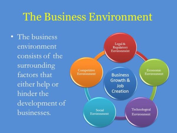 Measures a business can take to ensure that its environment is ...