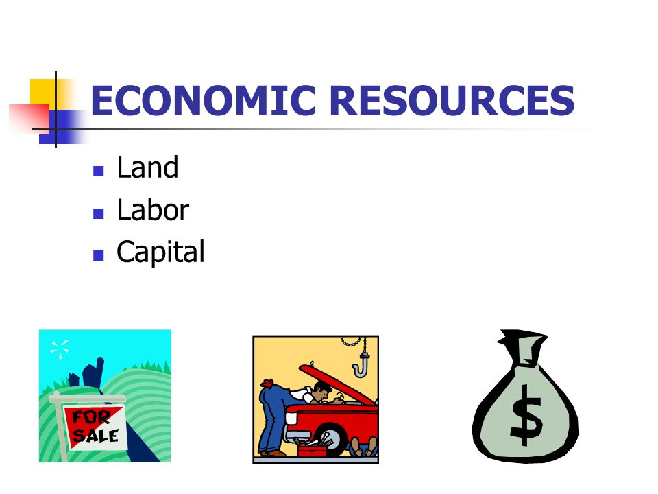 economic resources examples