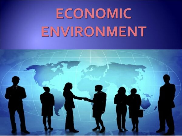 Ways in which the economic environment may positively influence the ...