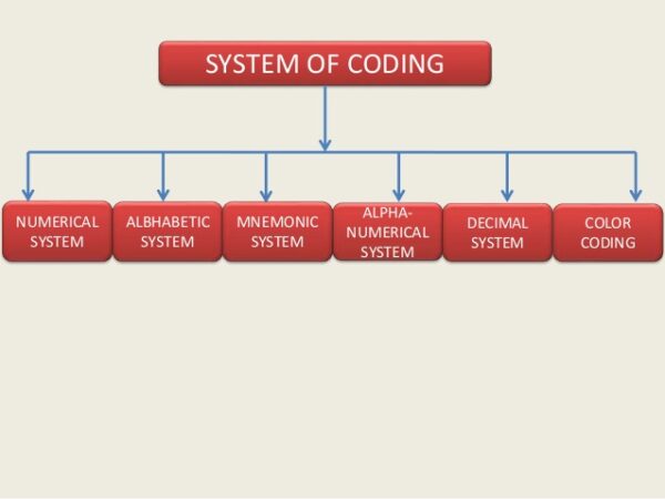 Methods and bases of coding materials - KNEC notes and Revision materials