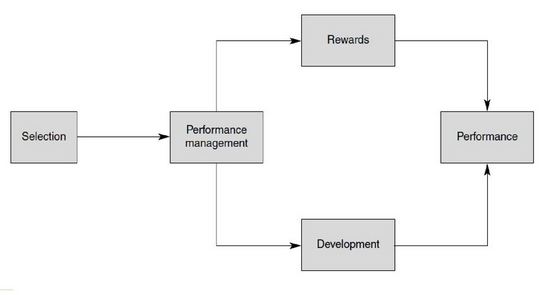 HUMAN RESOURCE CYCLE